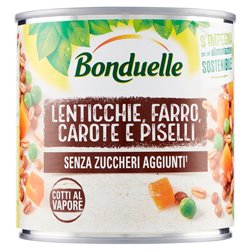 Lenticchie, Farro, Carote E Piselli