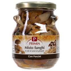 Misto funghi con porcini