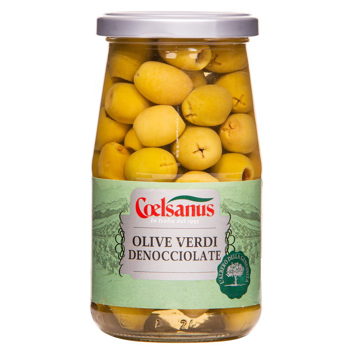 Coelsanus Olive denocciolate