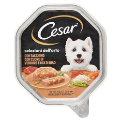 Paté Per Cani Con Tacchino