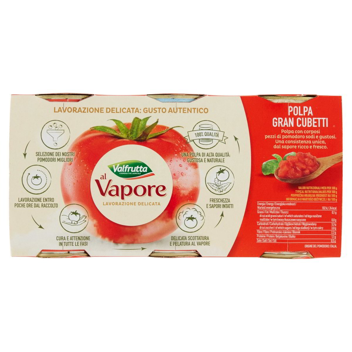 Gran cubetti di pomodori di giornata