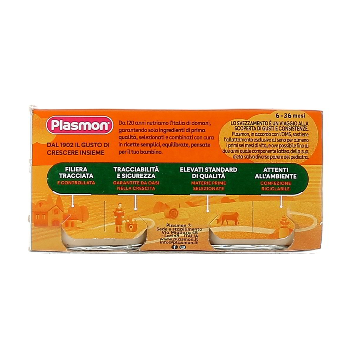 Formaggino Fuso e Prosciutto