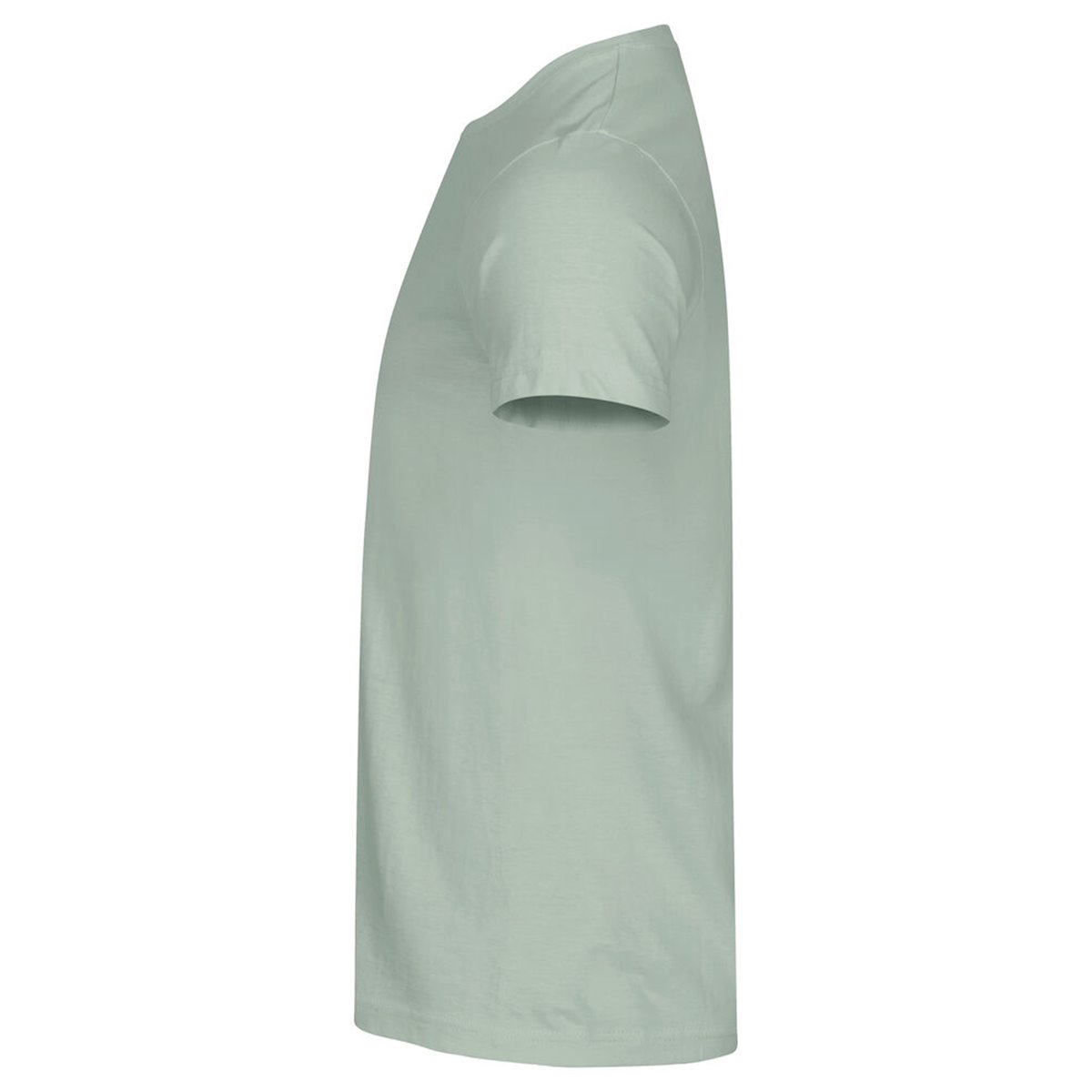 T-shirt Basic-T Verde Salvia uomo