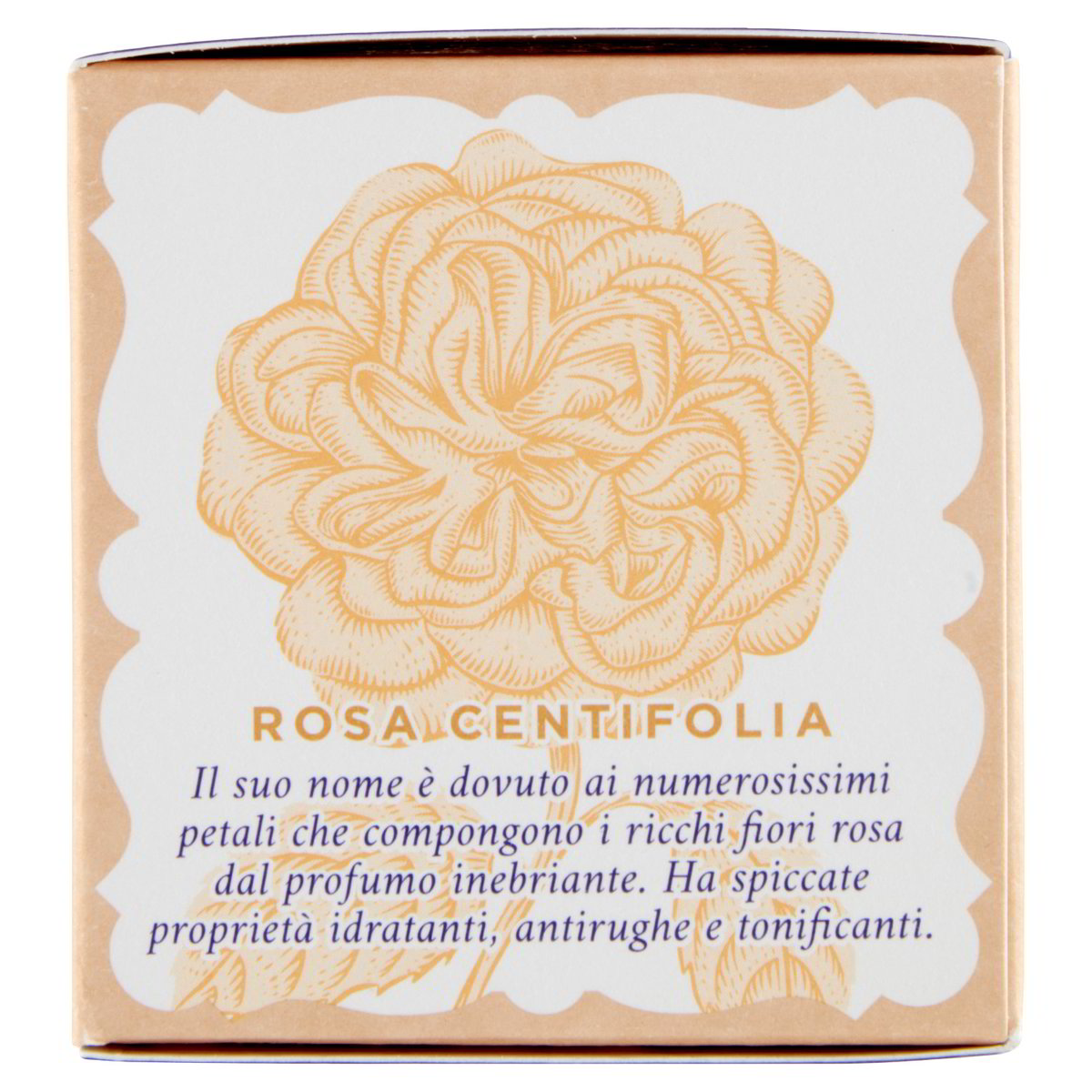 Manetti & Roberts Crema viso Antirughe Acqua alle Rose