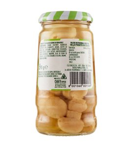 Saclà Funghetti Sottolì