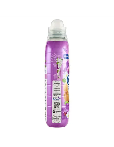 Ammorbidente Concentrato Orchidea Viola E Mirtilli