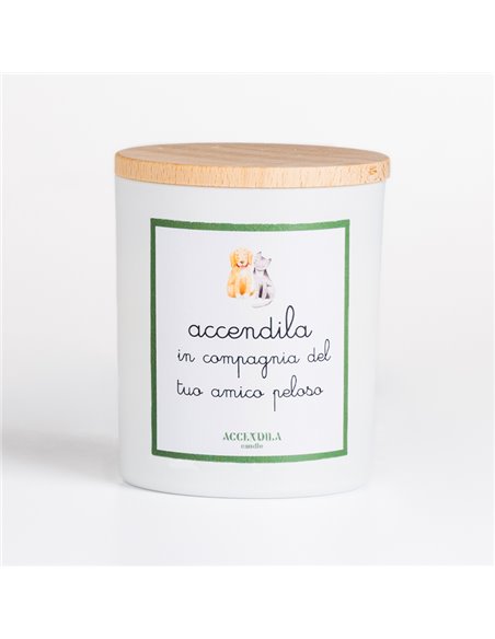 ACCENDILA PET