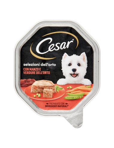 Paté Per Cani Con Manzo