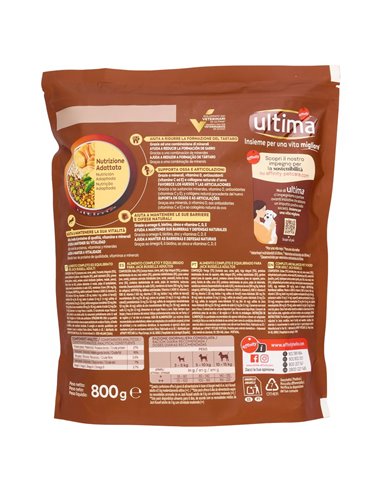 Alimento Per Cani Jack Russell Con Pollo