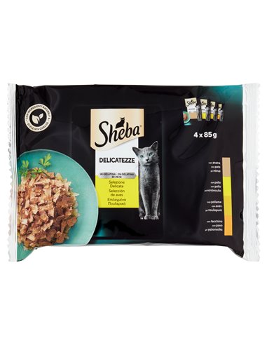 Delicatezze In Gelatina Per Gatti Selezione Delicata