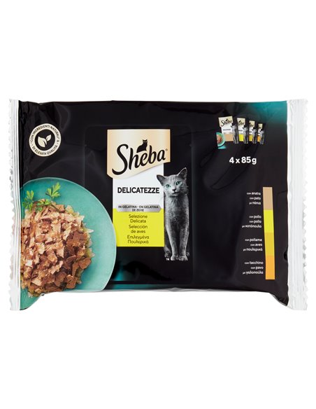 Delicatezze In Gelatina Per Gatti Selezione Delicata