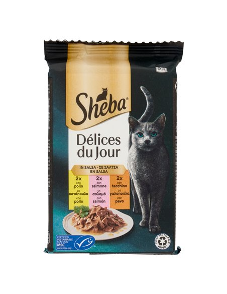 Délices du Jour Cibo Umido Gatto in Salsa con Salmone e Tacchino