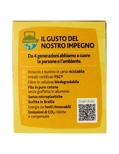 Sir Winston Tea Tè Nero allo zenzero e limone