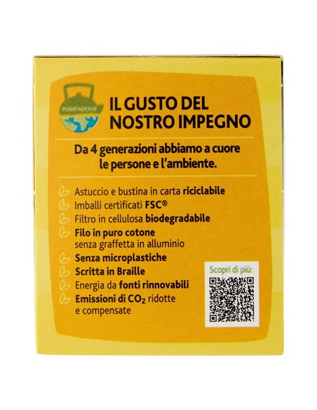 Sir Winston Tea Tè Nero allo zenzero e limone