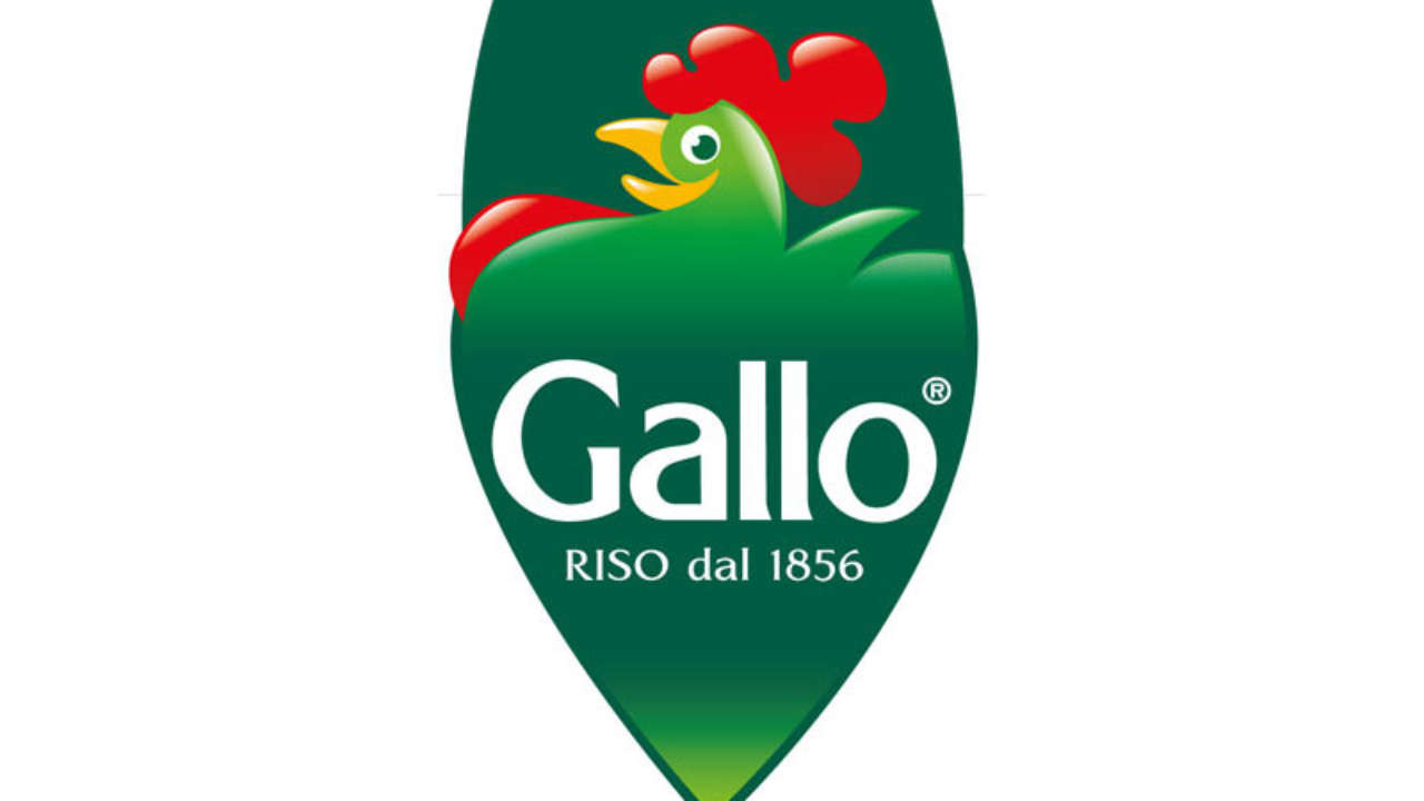 GALLO