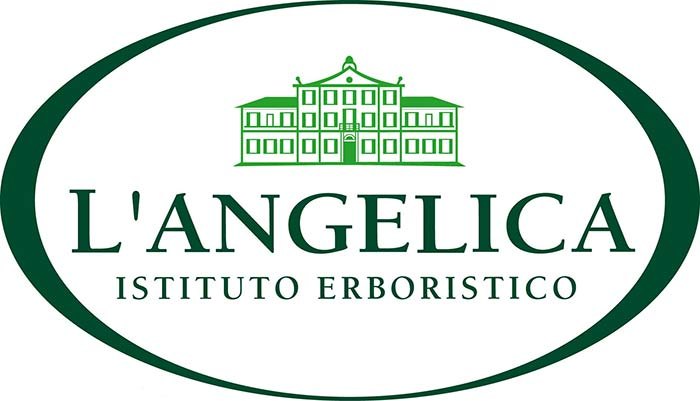 ANGELICA