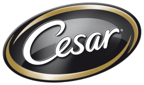 CESAR